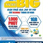 mobi big