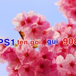 Đăng ký gói 3G Mobifone nào dịp Tết Nguyên Đán 2016