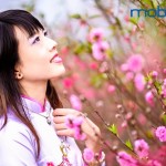 Vui Xuân May Mắn cùng Mobifone nhận 500 triệu, IPhone 6S