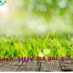 Hủy dịch vụ SGO của Vinaphone 1367 chỉ với 01 tin nhắn