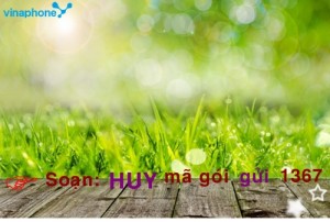 huy-dich-vu-sgo-cua-vinaphone-chi-voi-mot-tin-nhan