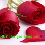 cach-huy-dich-vu-bi-mat-eva-mang-mobifone