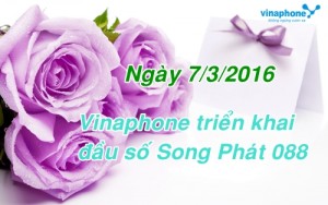 vinaphone-cung-cap-ra-thi-truong-dau-so-088