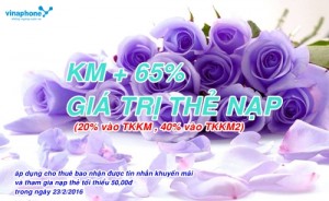 vinaphone-khuyen-mai-65-nap-the-ngay-2322016