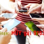 huy-tranh-tai-vot-do-9163-mobifone