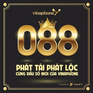 cach-so-huu-dau-so-dai-phat-088-mang-vinaphone