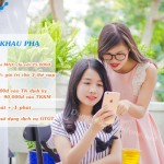 hoa-mang-goi-khau-pha-dang-ky-goi-3g-max-vinaphone-chi-25000d